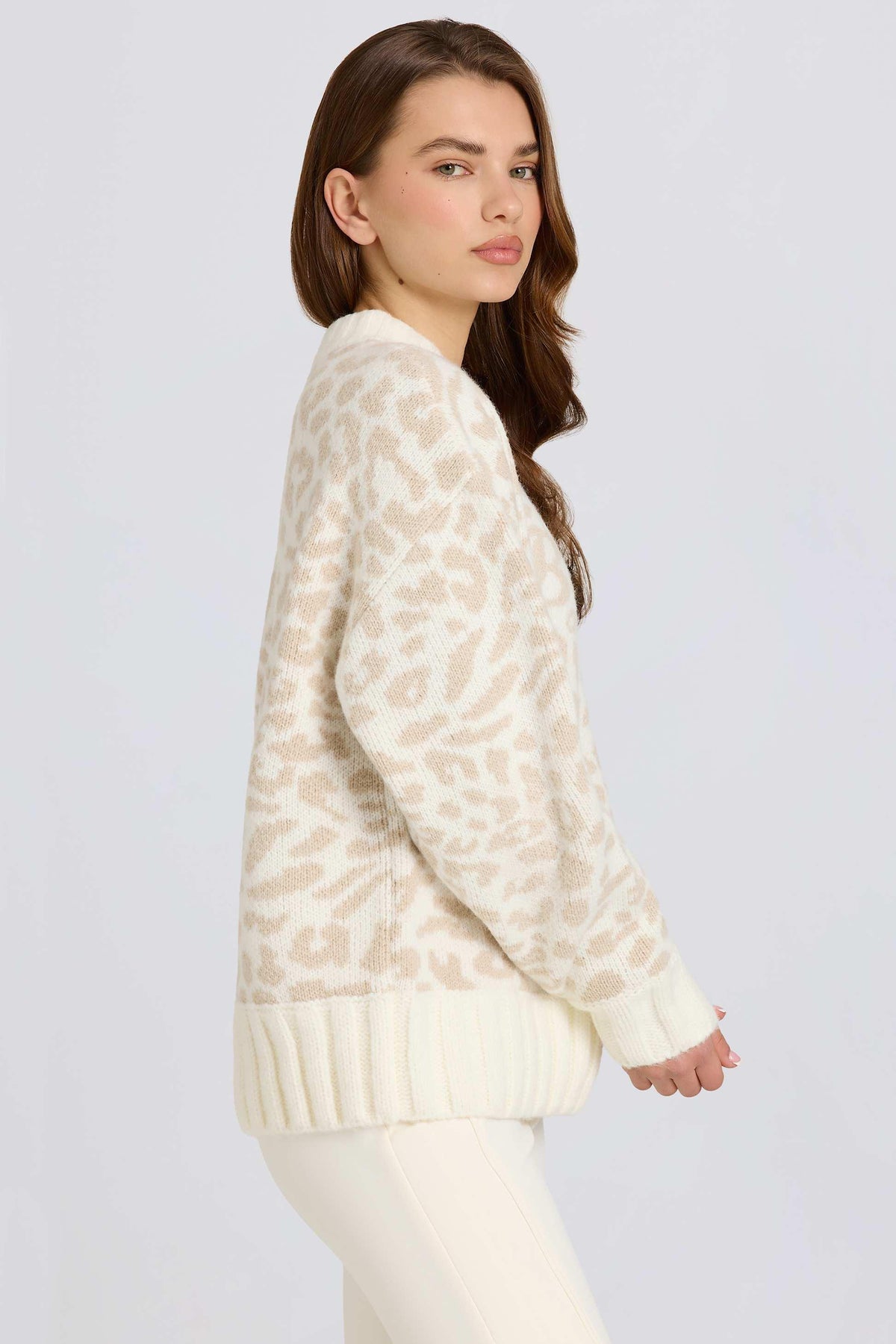 Jacquard-knit Oversized Jumper In Ice